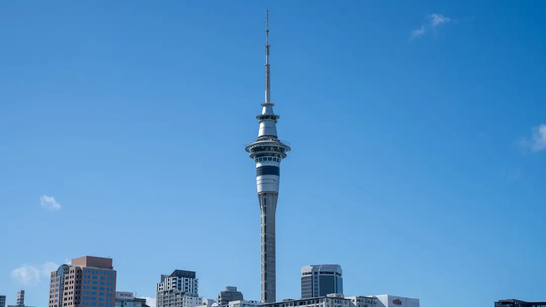 Essential Guide to Building Quality Backlinks for New Zealand Businesses